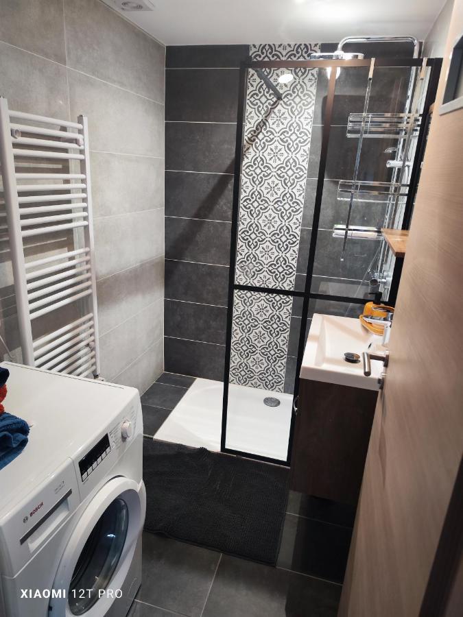 Appartement Renovee Dans Maison Ancienne Amancy 외부 사진