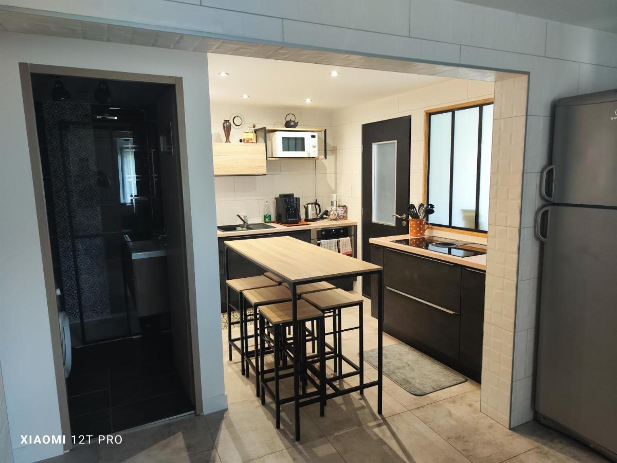 Appartement Renovee Dans Maison Ancienne Amancy 외부 사진